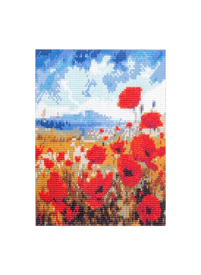 itsy-bitsy Itsy Bitsy DIY 5D Diamond Painting Kit Poppy Garden 30 X 30CM 1pc | Art & Craft, Creative, Fun & Activity Kit | Gift for Kids, Adult - Image 1